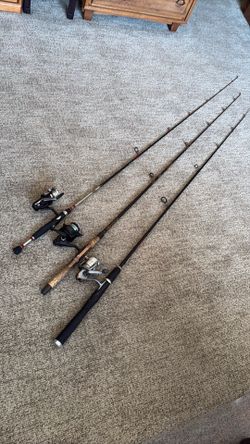 Spinning rods and reels