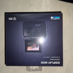  Display Mod Hero8  Gopro