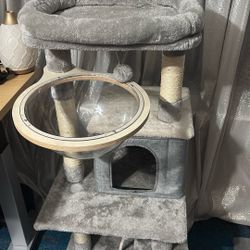 Cat Condo