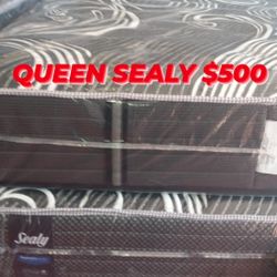 Queen Sealy 