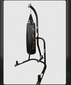 Everlast Dual-Station / 2-Station Heavy punching bag