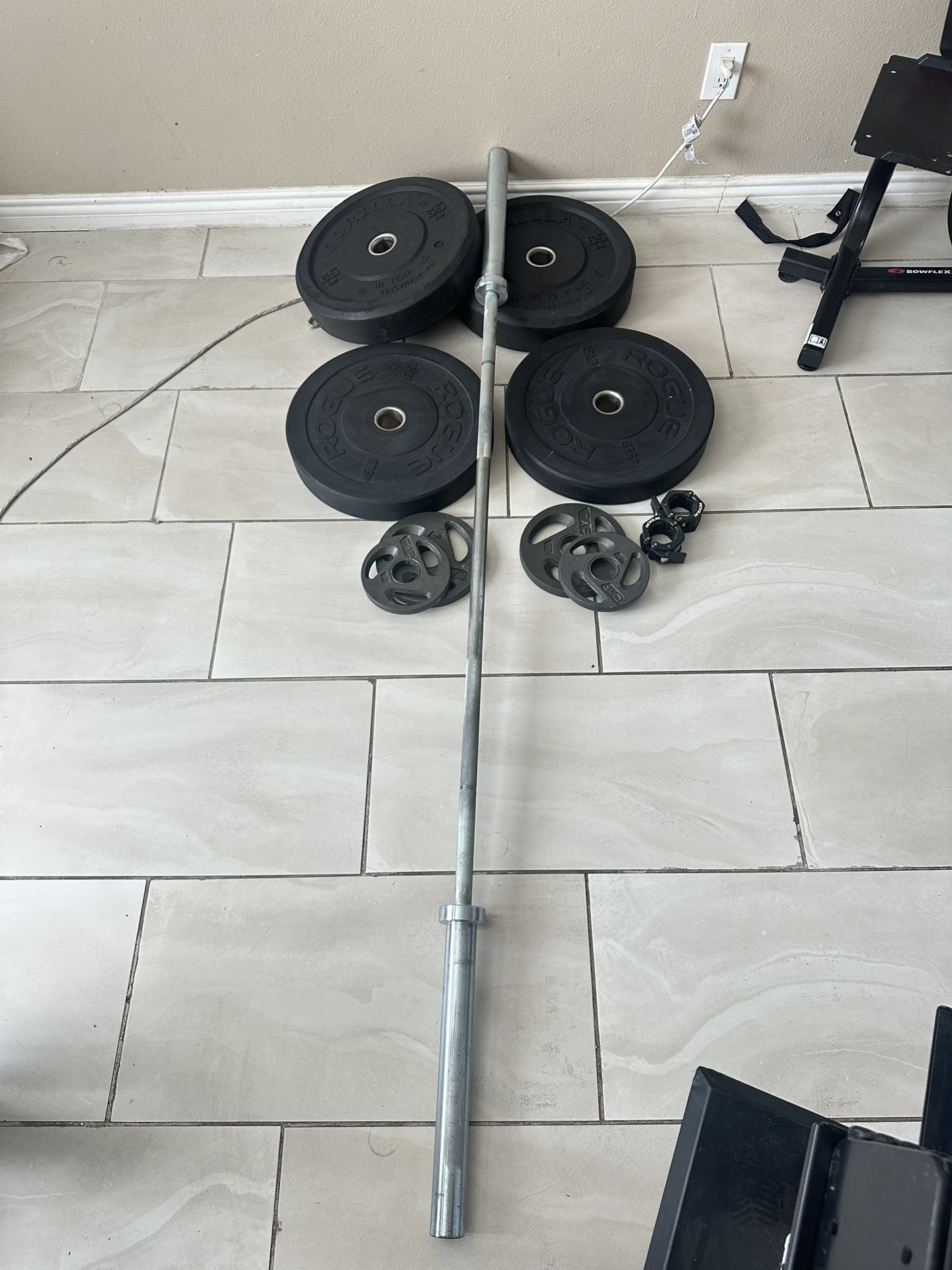 Rogue echo 45lbs bar plus 250lbs of rogue bumper weights