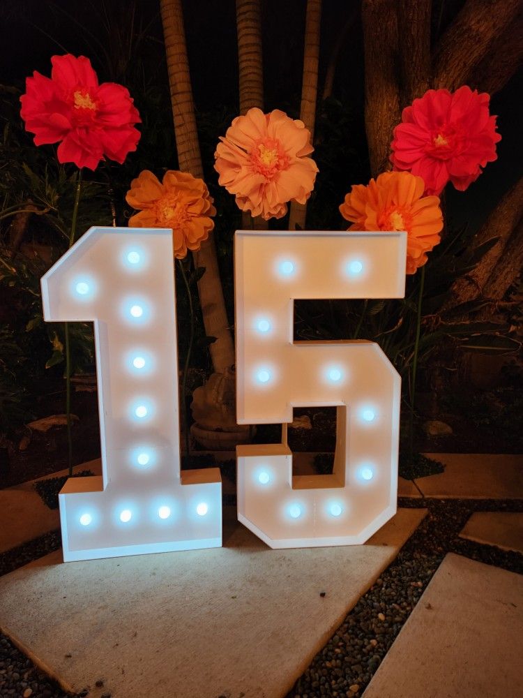 4ft Light Up Number Party Decor 15 Year Old (Cardboard)