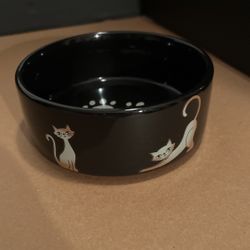 Cat Bowl 