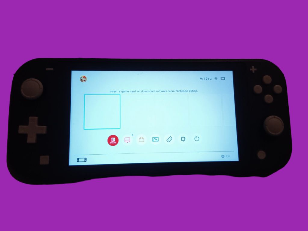  Switch Nintendo Lite Perfect Grey New Conditions Selling $115 With Charger 