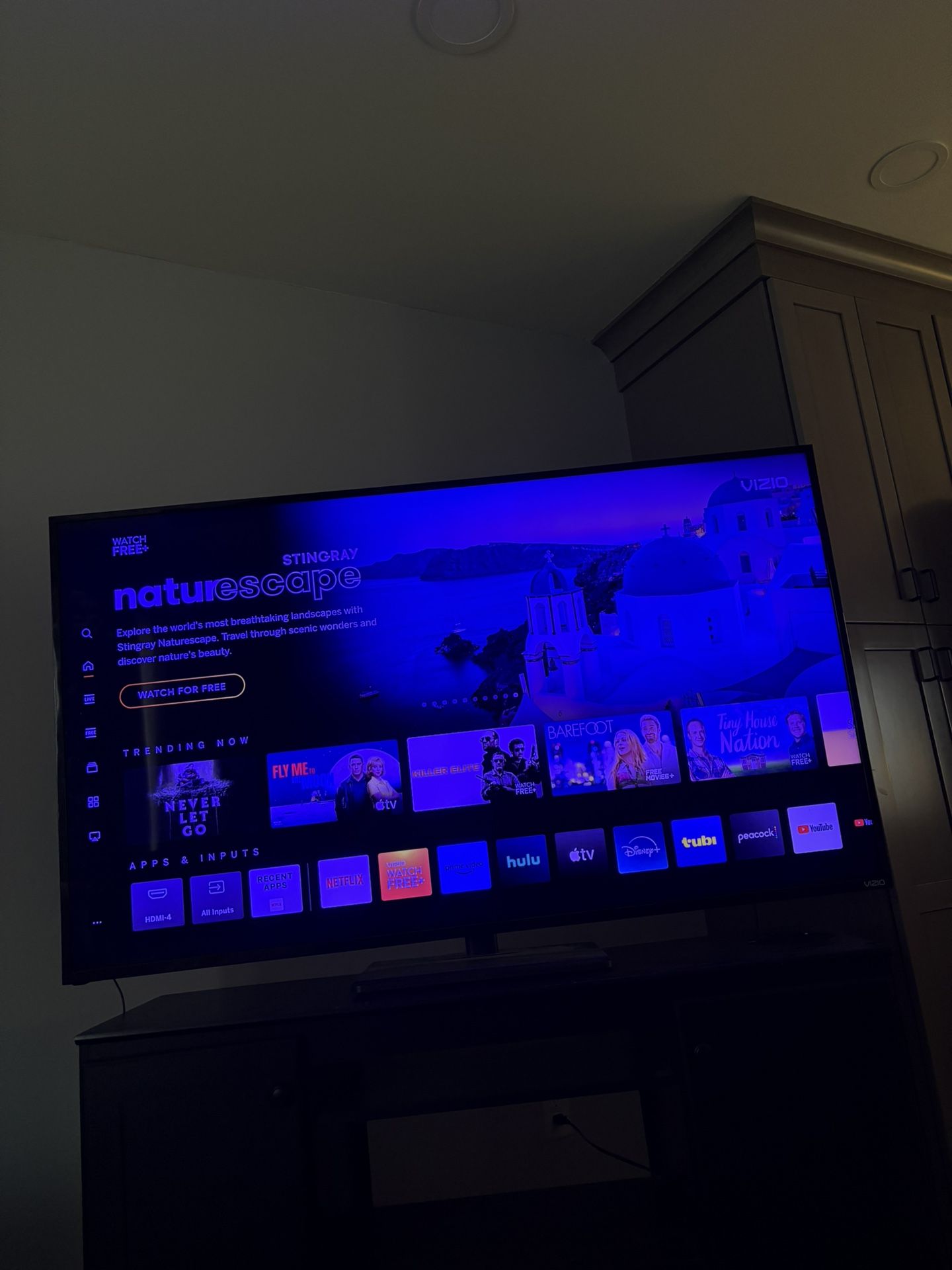 65in tv