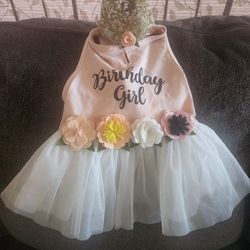 Dog Birthday Dress 
