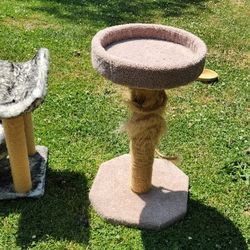 Free Cat Trees