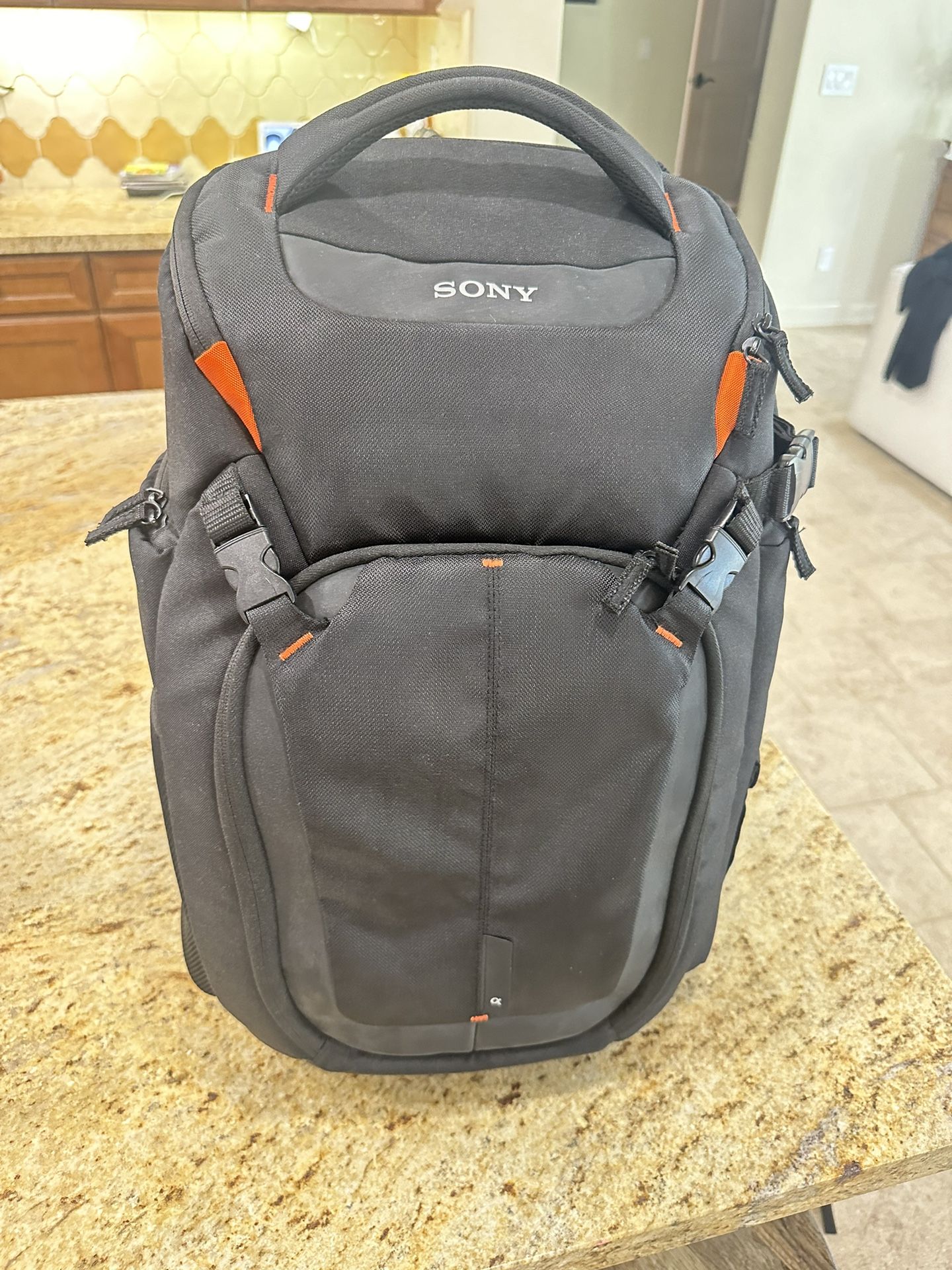 Sony LCS-BP3 Camera Backpack Bag