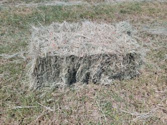 Small Square Bales native grasses and some coastal.