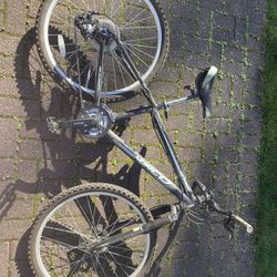 Mountaineer 15’ Mountain bike