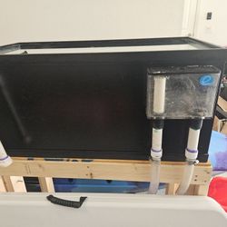 40 Breeder Tank