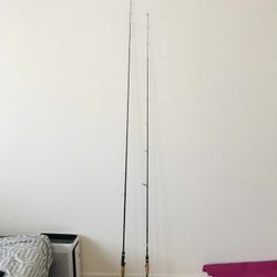 Dobyns Sierra Fishing Rods