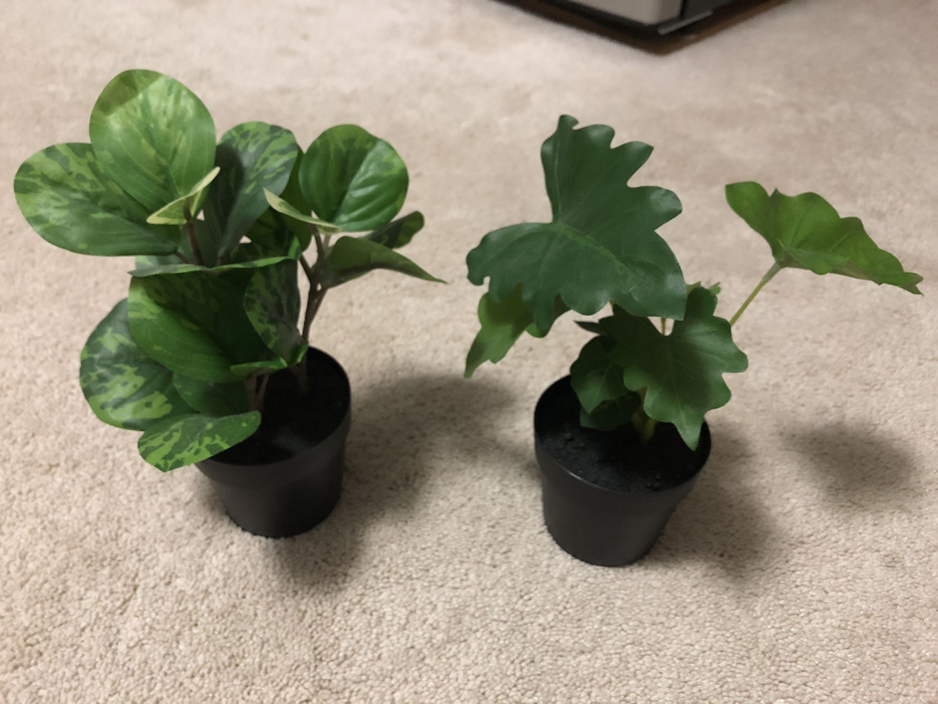 Fake plants - 8” tall - new, no dust