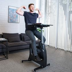 Flexispot All-in-One Standing Desk Bike/Bike Workstatio