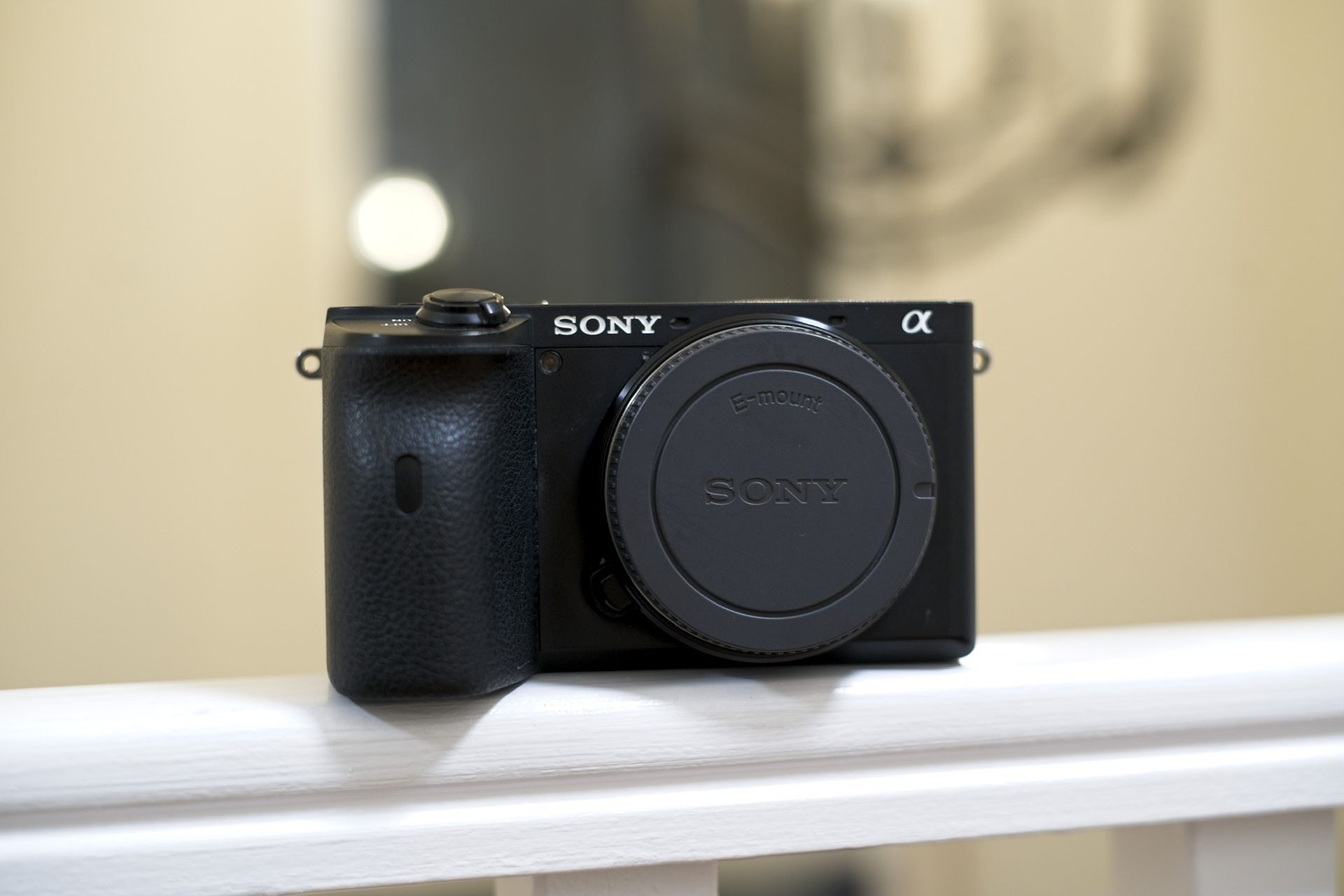 Sony Alpha A6600 Mirrorless Camera