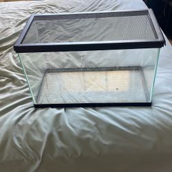 10 gallon tank with mesh lid