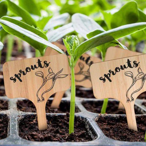 Eco-friendly Bamboo Plant Labels
