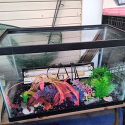 Fish Tank No Lid Medium Size 