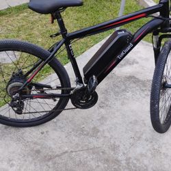 Totguard electric bike