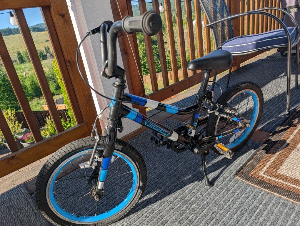 Guardian 16 Inch Bike