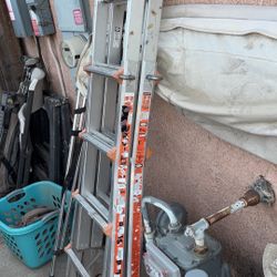 Little Giant Ladder