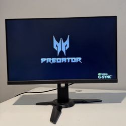 Monitor Predator Acer 