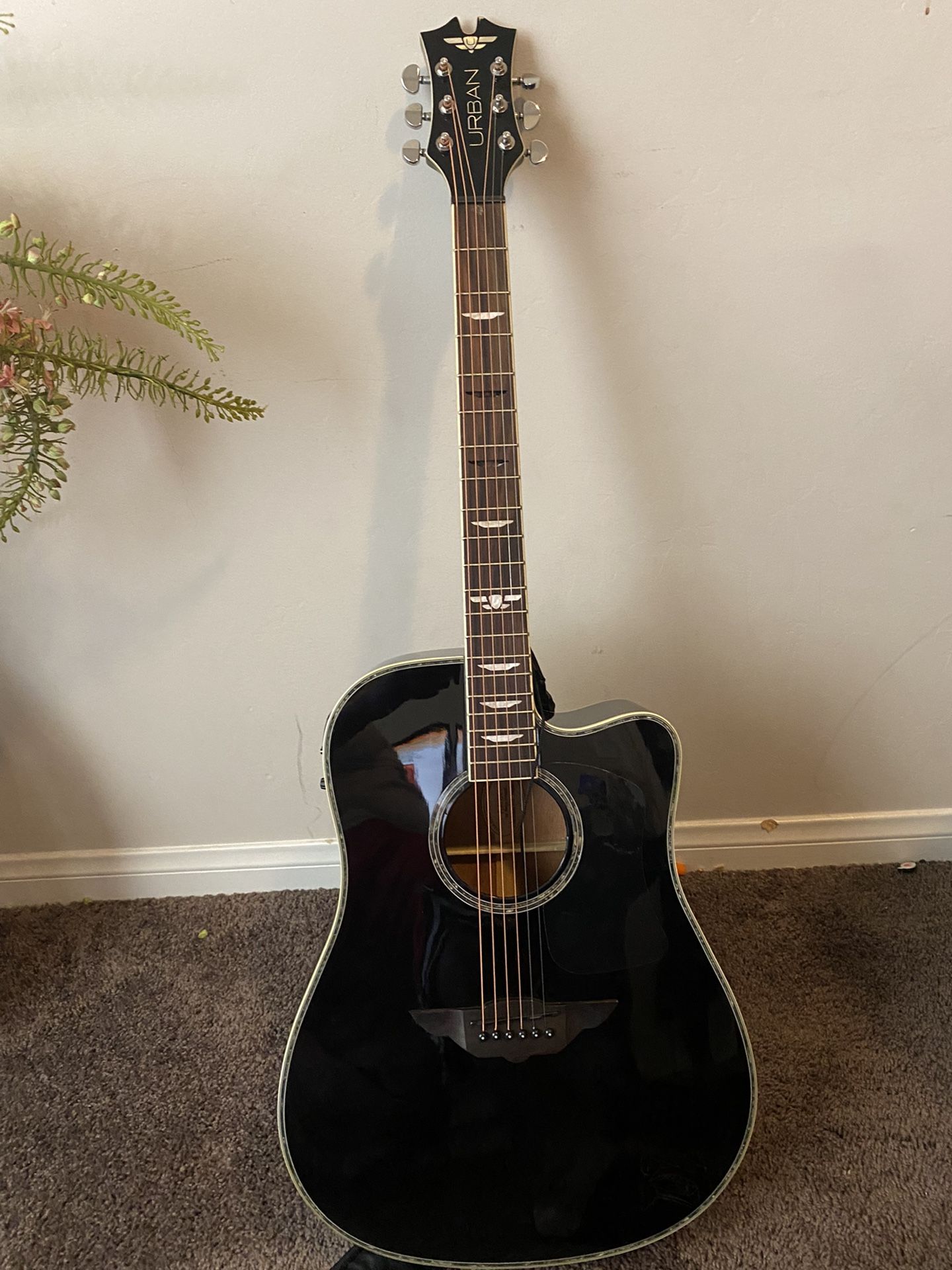 Keith Urban Electric Acoustic Guitar With Amp