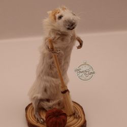 Taxidermy mouse