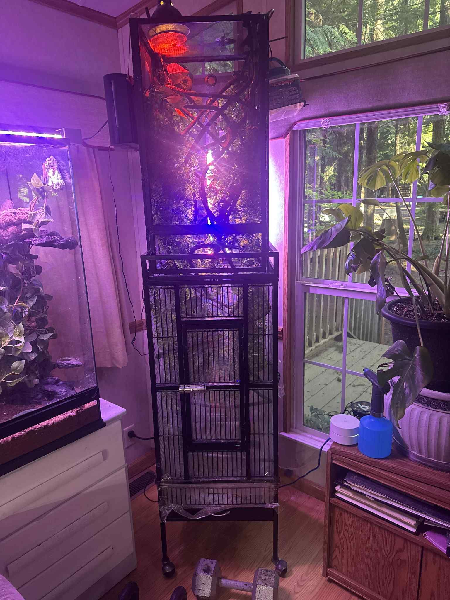Reptile Enclosure 