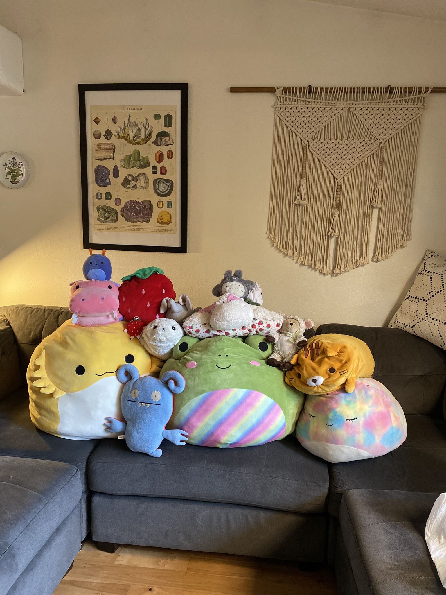 Squish mallow And Stuff Animal Bundle 