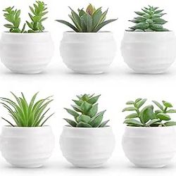 Set of 6 Succulents Plants Artificial in Pots Small Fake Plants for Bedroom Aesthetic Living Room Office Shelf Bathroom Decor