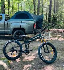 Wallke 2.0 electric bike