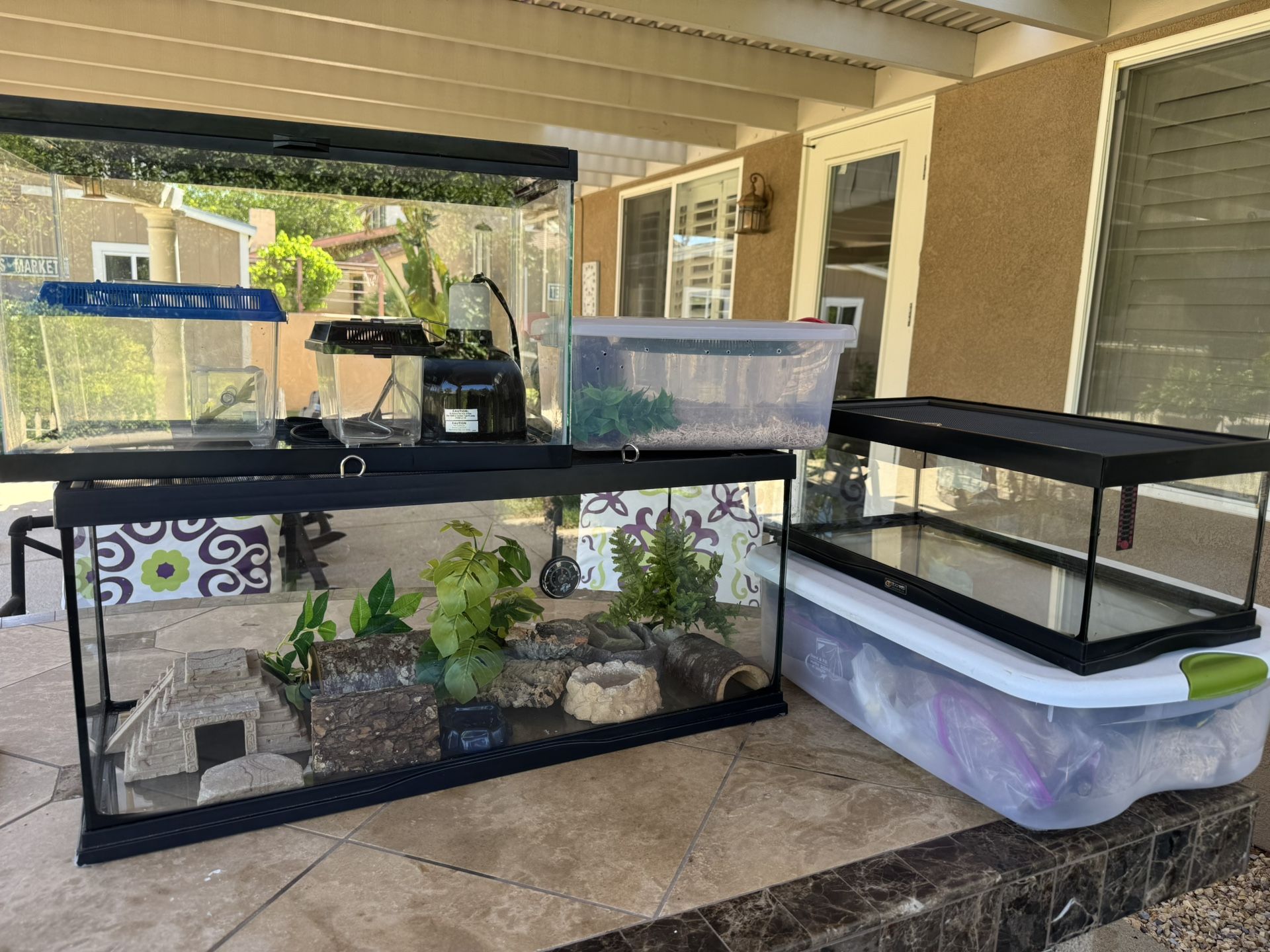 Reptile Cages And Supply Bundle