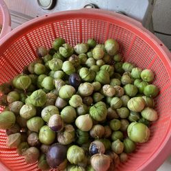 Tomates $1.50 La Libra.  