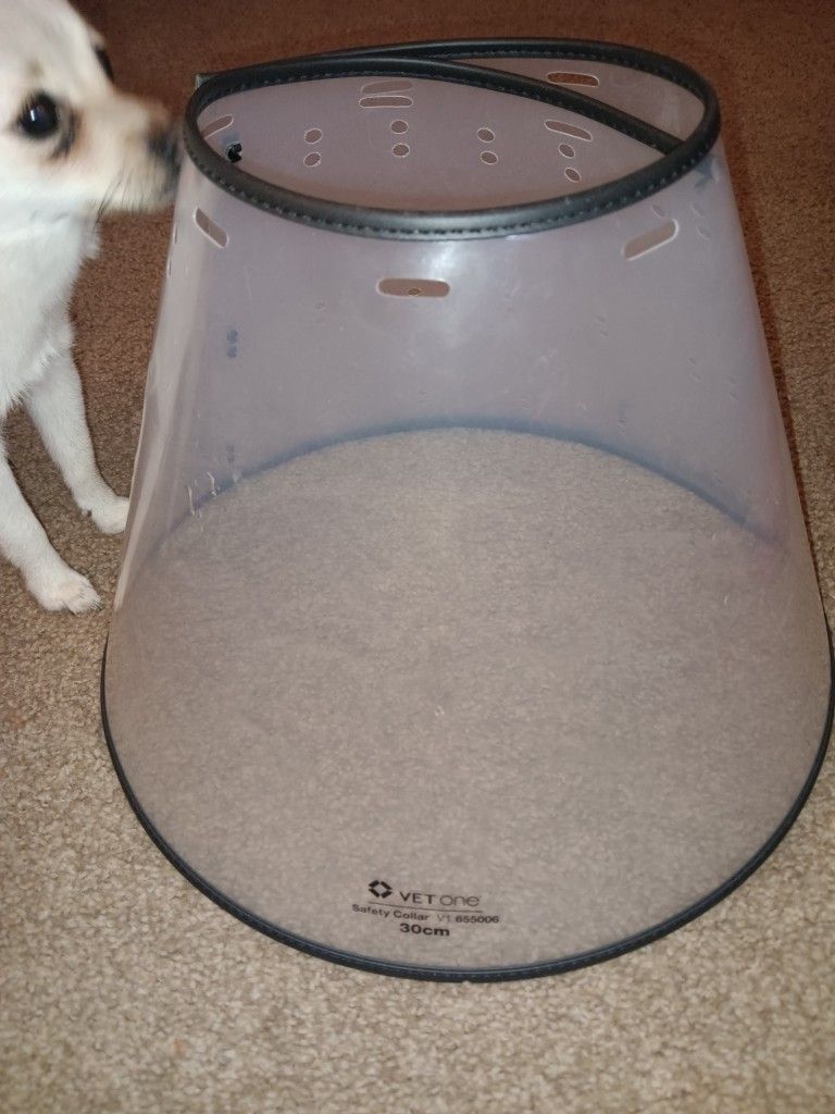 Vet One 30 Cm Large Pet Cone 