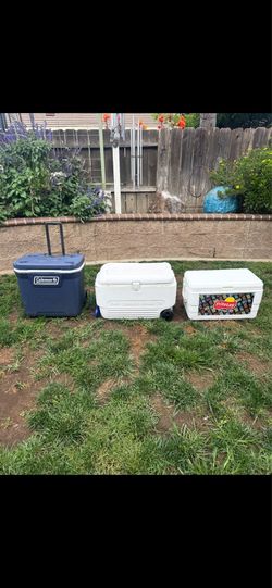All ice coolers for $45