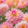 flowerslover
