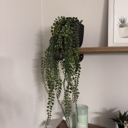 Trailing Artificial Plant