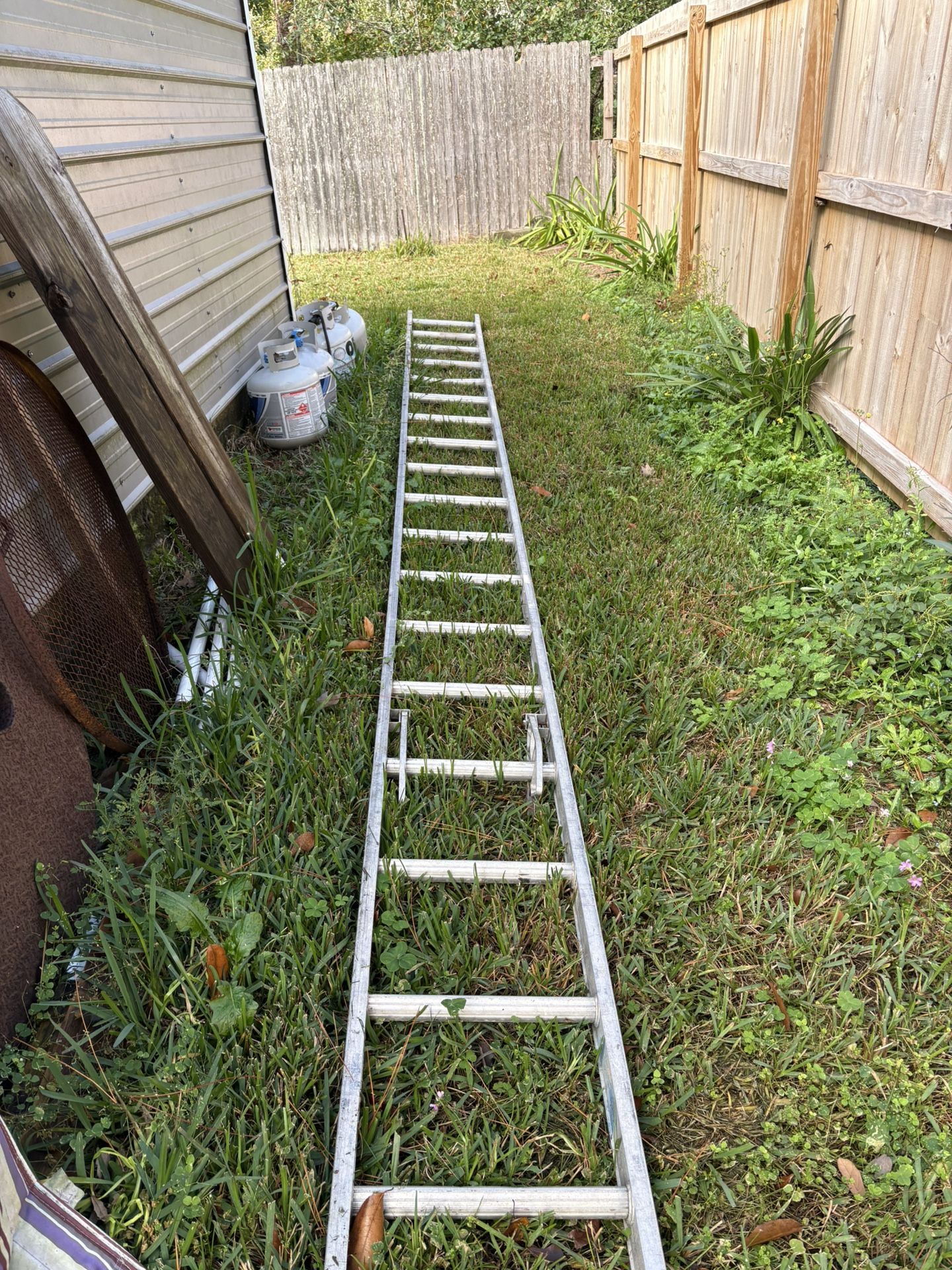 Long Ass Ladder
