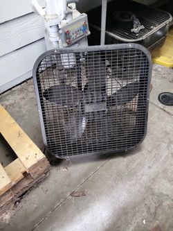 Fan