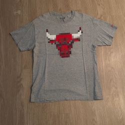 Size Large - Hall Of Fame NBA Basketball Chicago Bulls Shirt Tee - Nike Sports New Era Mitchell And Ness 47 Brand Stussy Supreme