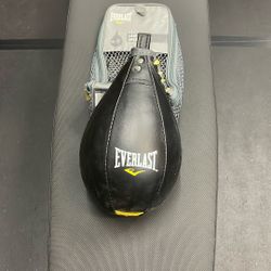 Everlast Leather Speed Bag