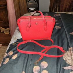 Brand new Tory