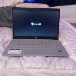 Hp Chromebook 