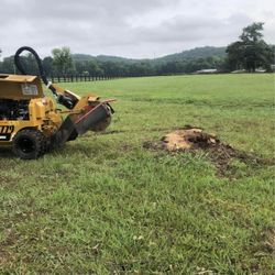 Stump Grinding 