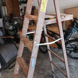6 Ft Ladder 