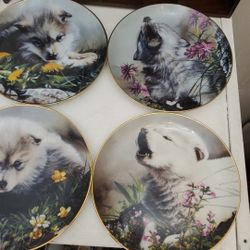 Wolf Pup Plate Decor