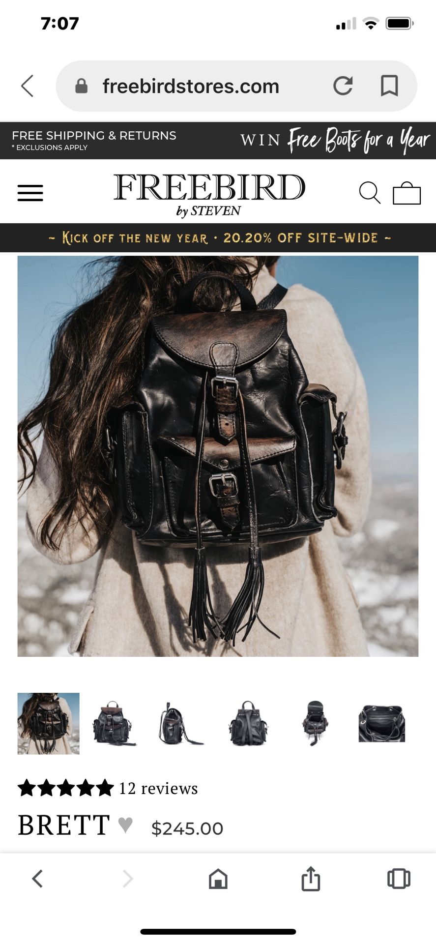 Freebird purse/backpack
