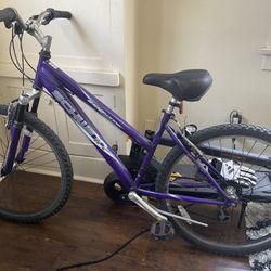 Schwinn Ladies Bike 